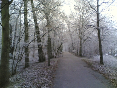 Scheveningse Bos december 2007