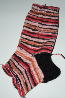 tiger socks