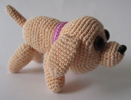 labrador retriever