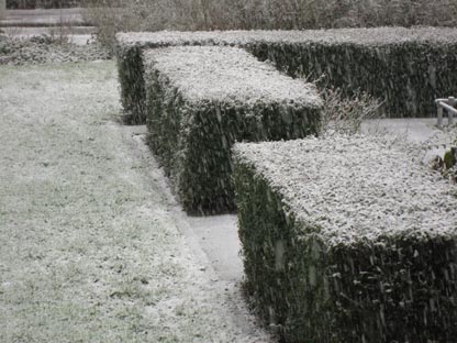 winter 2007